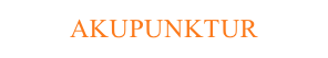 AKUPUNKTUR